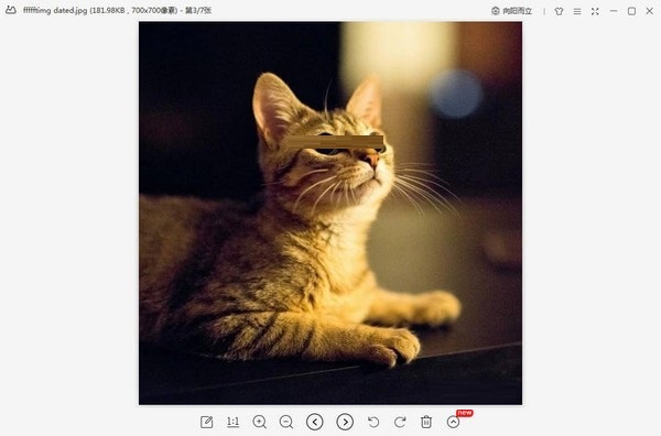 WPS图片 界面截图 2